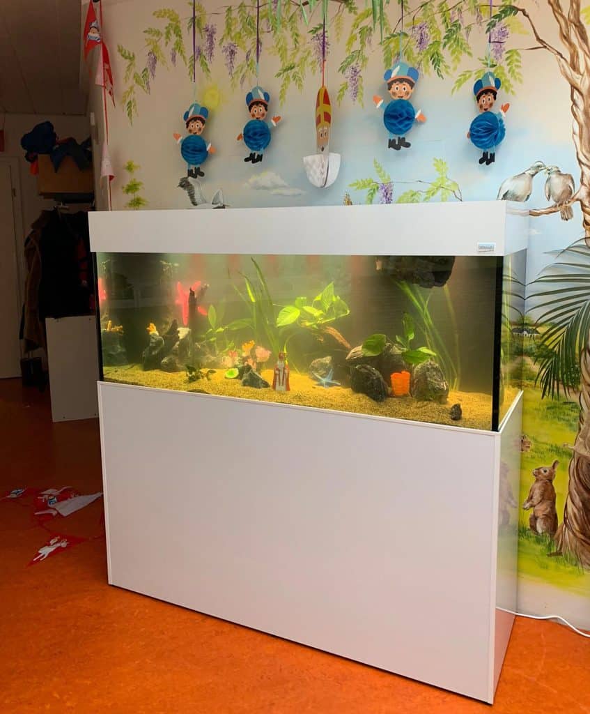 Lease aquariums in kinderdagverblijven en op kinderafdelingen in ziekenhuizen zijn hot!