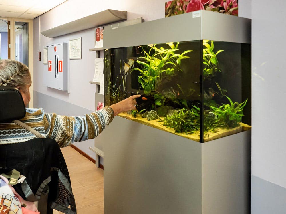 Lease aquariums in de zorg: Verbeter het welzijn van bewoners