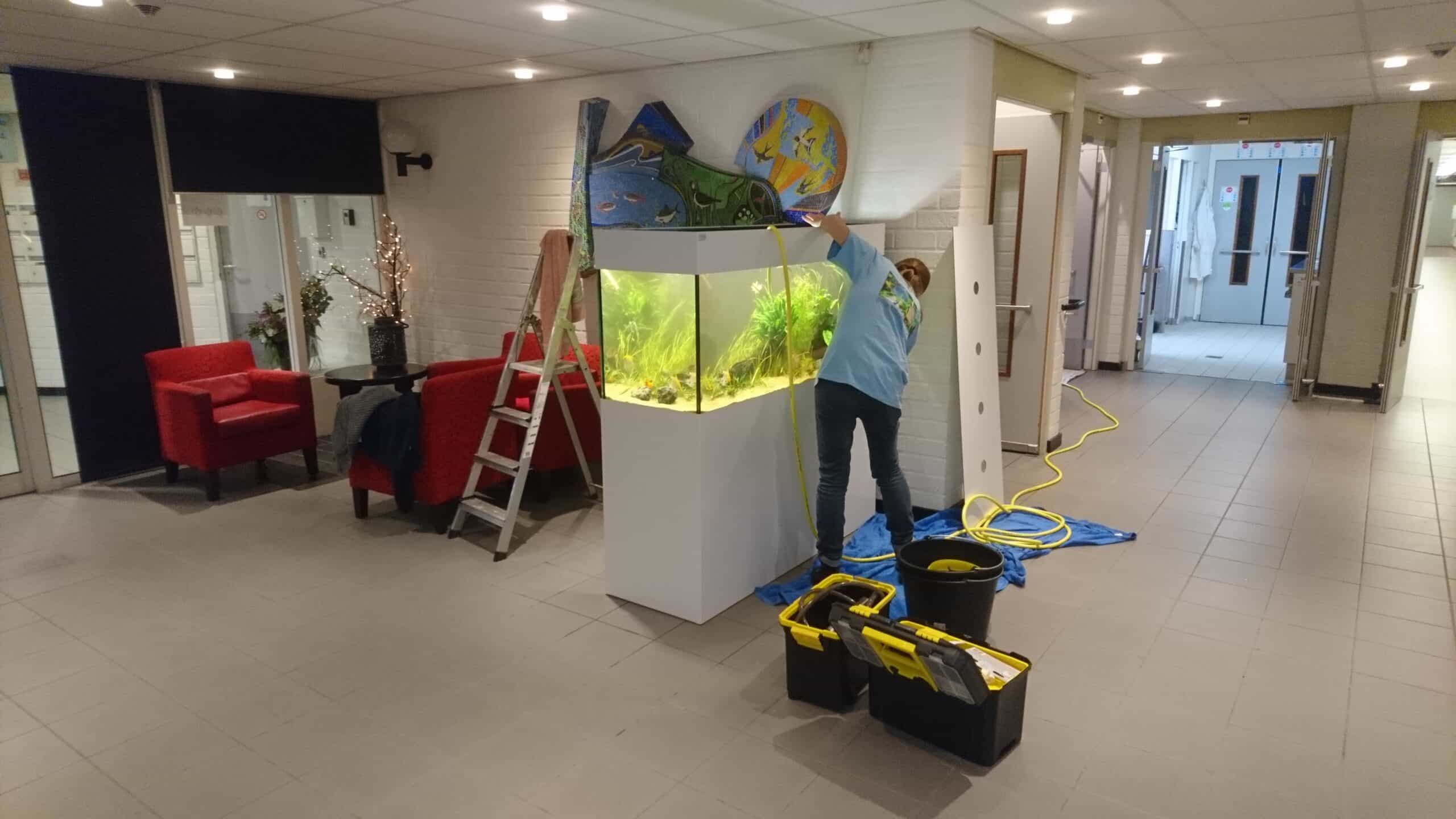 Aquarium onderhoud