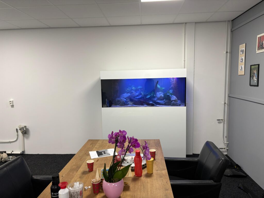 Aquarium op kantoor: meer rust, meer sfeer en gewoon een fijne werkplek