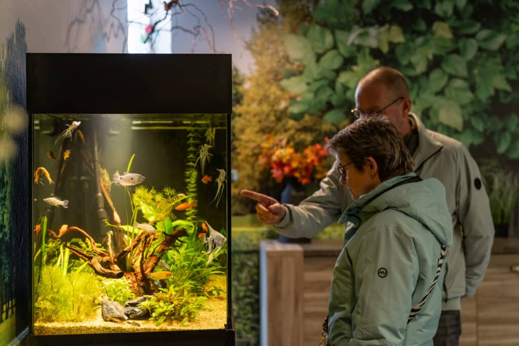 400 klanten: een bijzondere mijlpaal voor AquariumVerhuur
