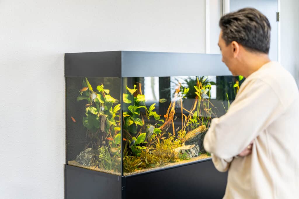 Elke dag vakantie met een aquarium